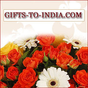 Same Day Delivery Gifts in Lucknow