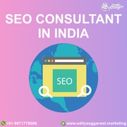 Find one of the best seo consultant in india