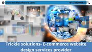 Trickle solutions- E-commerce website design services provider