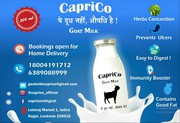 Bakri ka Milk | Organic Goat Milk Online | Fresh Goat Milk near me