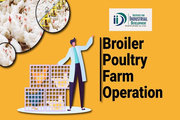 Broiler Poultry Farming