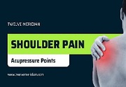 How to cure shoulder pain at home | Twelve Meridian