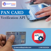 Best Pan Card Verification API at affordable price