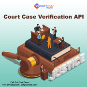 Get Court Case Status Verification APi for Cases Record