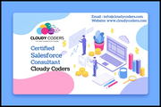 Certified Salesforce Consultant- Cloudy Coders