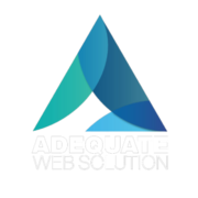 Transform Your Online Business with Adequate Web Solutions