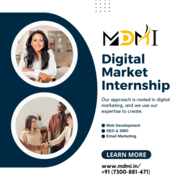 Why you should join Digital Marketing Internship Institute?