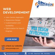 Website Development Company- Pandaje Web Services