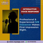 Professional Voice Over Actor | Voice Over Marketplace in 