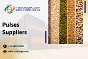 Pulses Suppliers