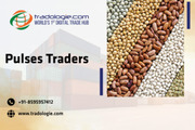 Pulses Traders