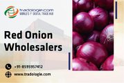 Red Onion Wholesalers