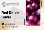 Red Onion Buyer