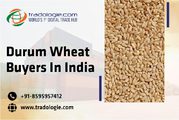 Durum Wheat Buyers In India