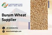 Durum Wheat Supplier