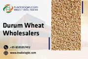 Durum Wheat Wholesalers   