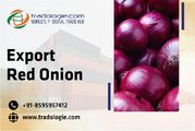 Export Red Onion