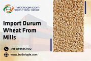Import Durum Wheat From Mills