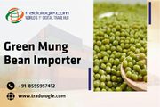 Green Mung Bean Importer