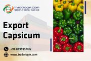 Export Capsicum 