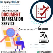 Document translation service,  Document translation company,  Document 