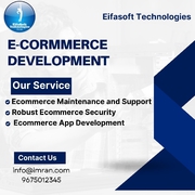   E-commerce Website Development 