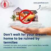 Termite Control Services In India