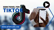 TikTok SMM Panel