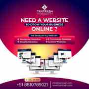 Get A Website To Grow Your Business Online-Tantrash Technologies