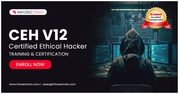 Ethical Hacker Courses and Training