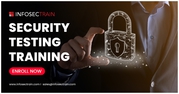 Security Testing Training