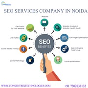 Why Noida Startups Should Invest in SEO Early