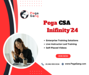 Pega CSA Online Training IT Professionals - PegaGang 