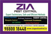 Garden General pest Control near me  | 9010  