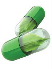 Advanced Probiotics for Gut Health & Immunity