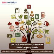 Top SMO Company Noida – Strengthen Your Social Presence